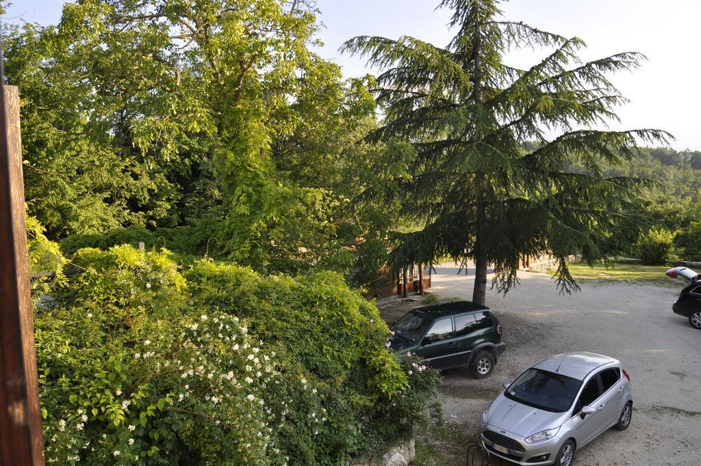 Suite con Terrazza